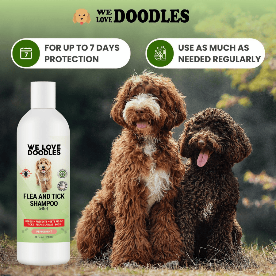 Two curly coated dogs sit on grass next to the shampoo bottle. Callouts note up to 7 days protection and guidance for regular use.