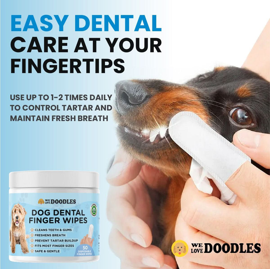 Close view of a dachshund as a white finger wipe cleans the teeth. Large text reads easy dental care at your fingertips. A product jar sits in the corner with a note to use 1 to 2 times daily.