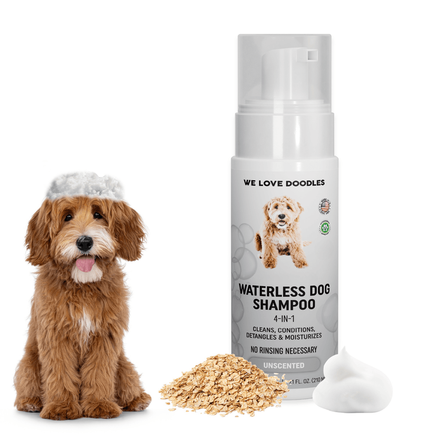 A white pump bottle of unscented waterless dog shampoo on white. Next to it are a doodle dog with a soap cap, a small oat pile, and a dollop of white foam.