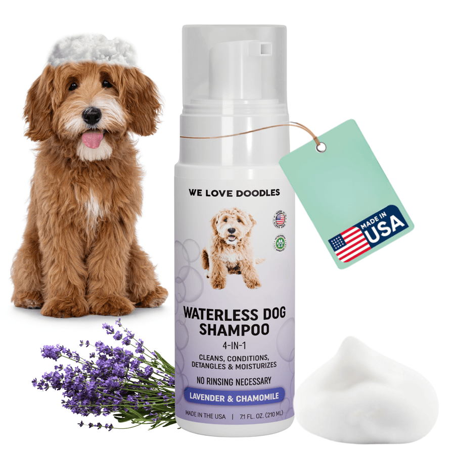 White foam pump bottle labeled Waterless Dog Shampoo sits beside a fluffy brown dog, a lavender sprig, a Made in USA tag, and a dollop of white foam on a white background.