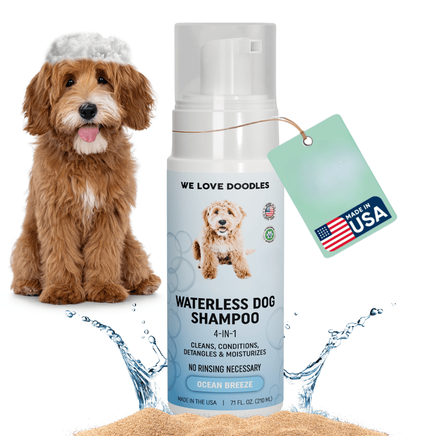 Foam pump bottle labeled Waterless Dog Shampoo 4-in-1 Ocean Breeze beside a fluffy doodle with suds on its head, water splashes and sand at the base, plus a Made in USA hang tag.