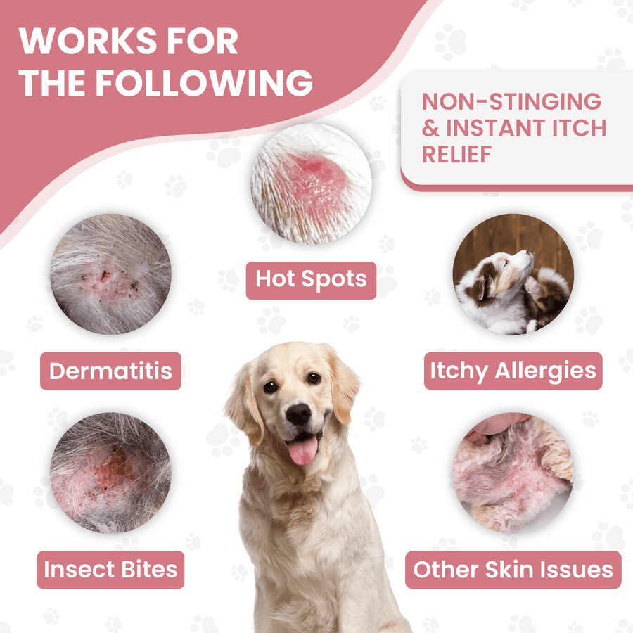 Graphic with a dog in the center and labeled circles for hot spots, dermatitis, insect bites, itchy allergies, and other skin issues. Notes non stinging instant itch relief.
