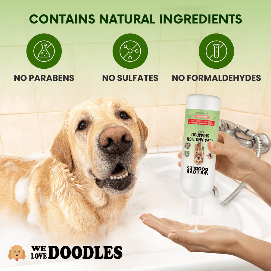 Smiling yellow lab sits in a soapy tub. A hand pours shampoo from the bottle into the other hand. Icons above show no parabens, no sulfates, and no formaldehydes.