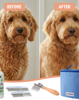 Home Dog No-Tangles Care + Organizer Pack - Organized, Knot-Free Grooming at Home
