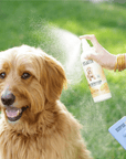 Dog Detangler Spray (Mango Scent) - We Love Doodles