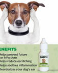 Dog Ear Serum Kit - We Love Doodles
