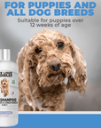 Dog Shampoo - Lavender (3 Pack) - We Love Doodles