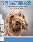 Dog Shampoo (Unscented) - We Love Doodles