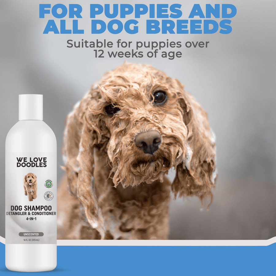 Dog Shampoo (Unscented) - We Love Doodles