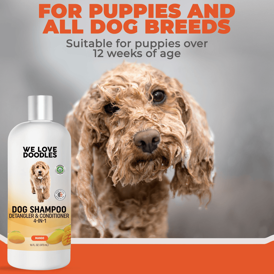 Dog Shampoo Variety Pack - We Love Doodles