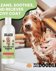 Flea and Tick Dog Shampoo 16 oz - We Love Doodles