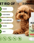 Flea and Tick Dog Shampoo 16 oz - We Love Doodles
