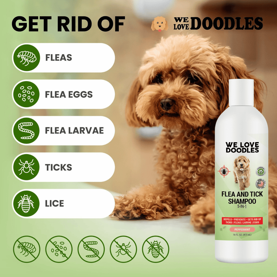 Flea and Tick Dog Shampoo 16 oz - We Love Doodles