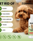 Flea and Tick Dog Shampoo 8 oz - We Love Doodles