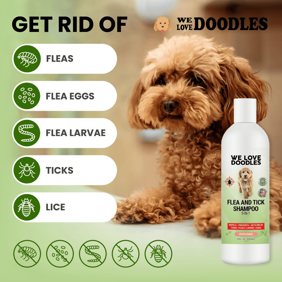 Flea and Tick Dog Shampoo 8 oz - We Love Doodles