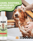 Flea and Tick Dog Shampoo 8 oz - We Love Doodles