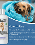 Home Grooming STARTER PACK - We Love Doodles