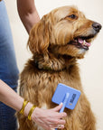 Hypoallergenic Unscented Starter Pack - We Love Doodles