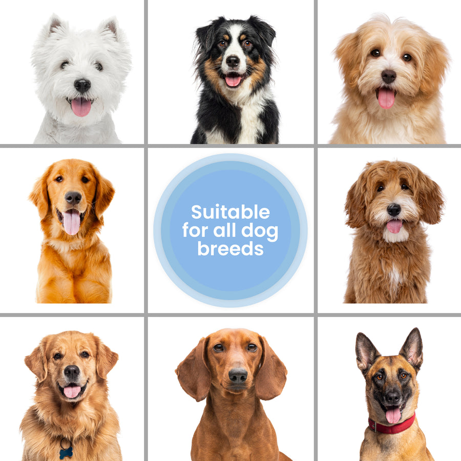 Waterless Dog Shampoo (Unscented)