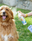 Dog Detangler Spray (Ocean Breeze Scent)