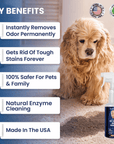 Pet Stain Remover - We Love Doodles