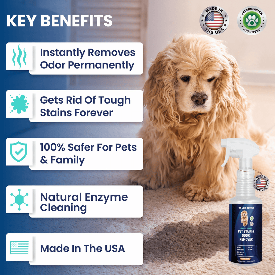 Pet Stain Remover - We Love Doodles
