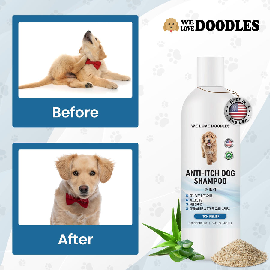 Premium Anti - itch Dog Shampoo - We Love Doodles