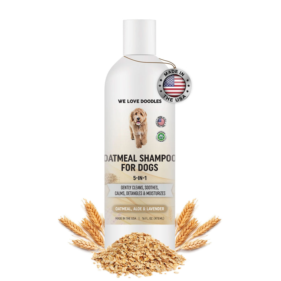 White bottle labeled premium Oatmeal Shampoo for Dogs with 5 in 1 benefits. A round Made in the USA tag hangs near the cap. Loose oats and wheat surround the base on a clean white background.
