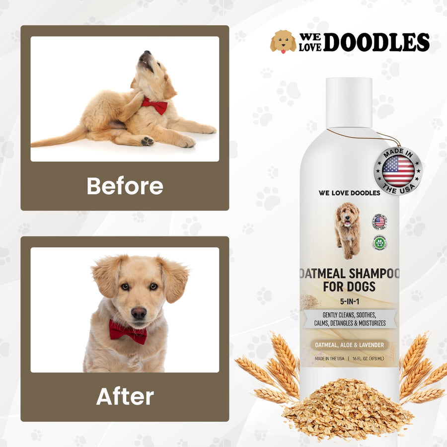 Premium Oatmeal Dog Shampoo - We Love Doodles