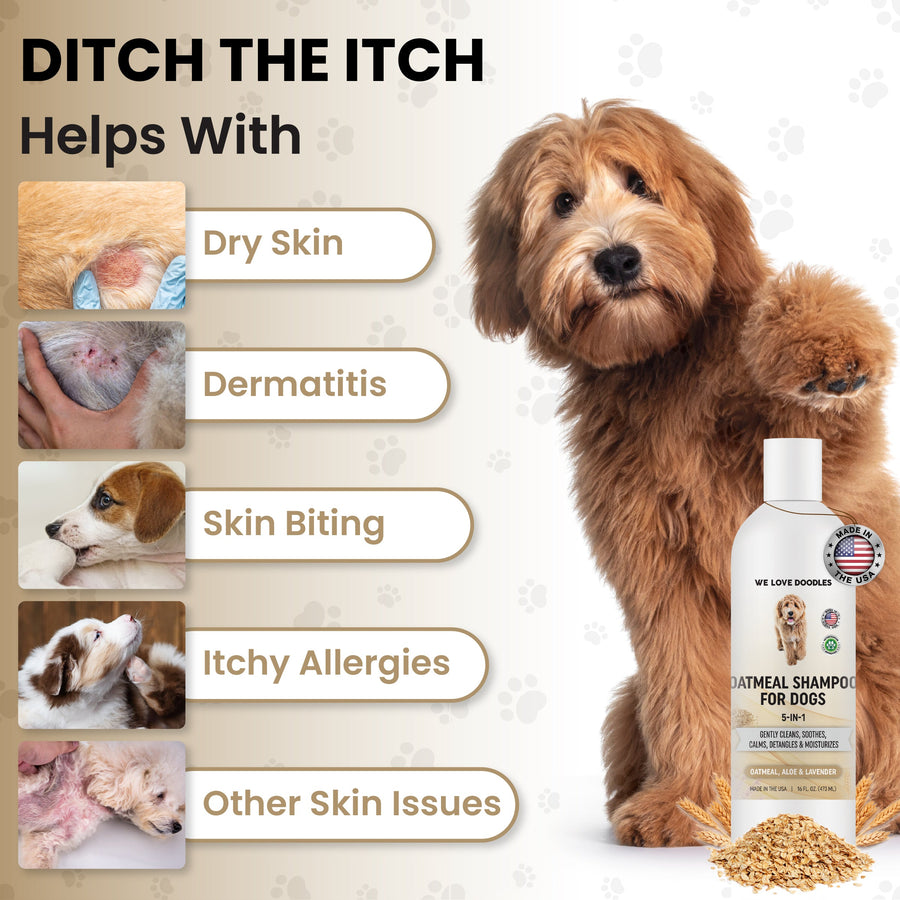 Premium Oatmeal Dog Shampoo - We Love Doodles