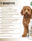 Premium Oatmeal Dog Shampoo - We Love Doodles