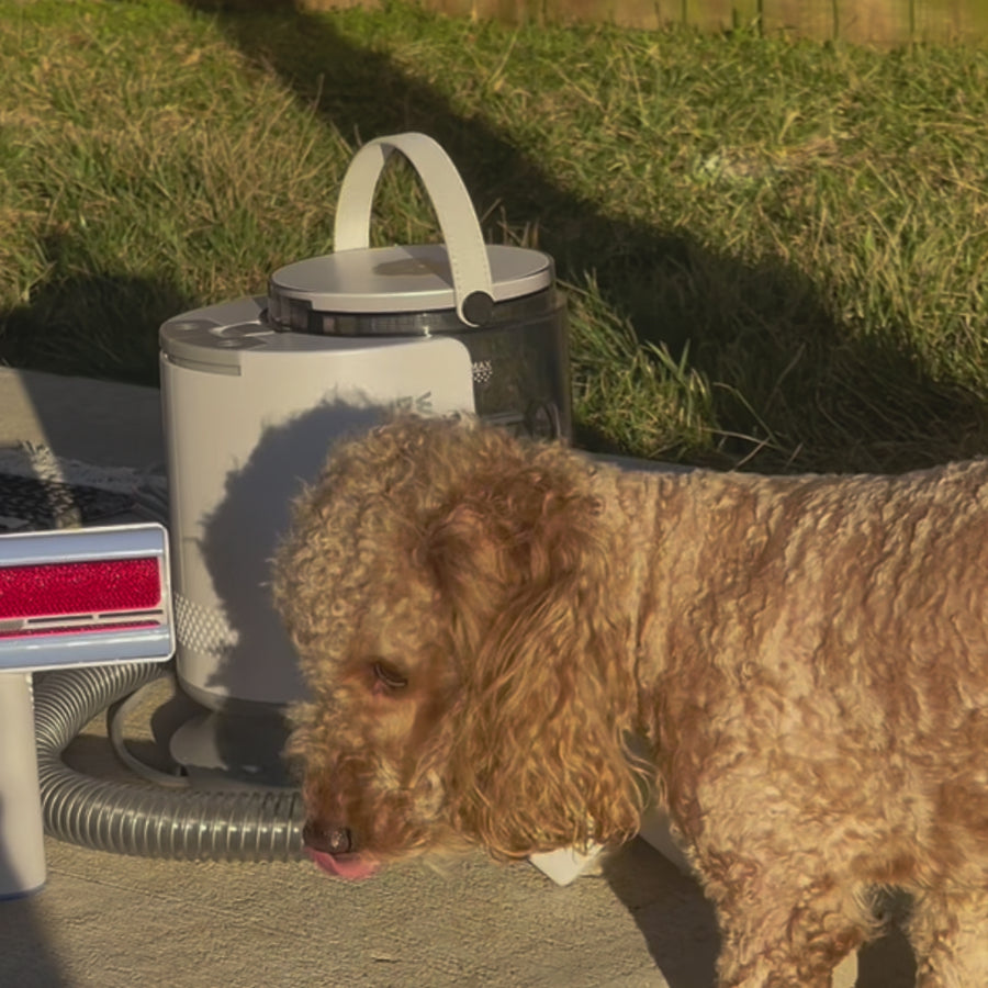 Dog Grooming Vacuum Kit (Upgraded Version)