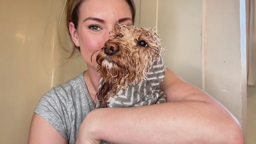 Deshedding Dog Shampoo
