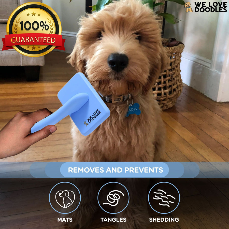 Puppy Pack - We Love Doodles