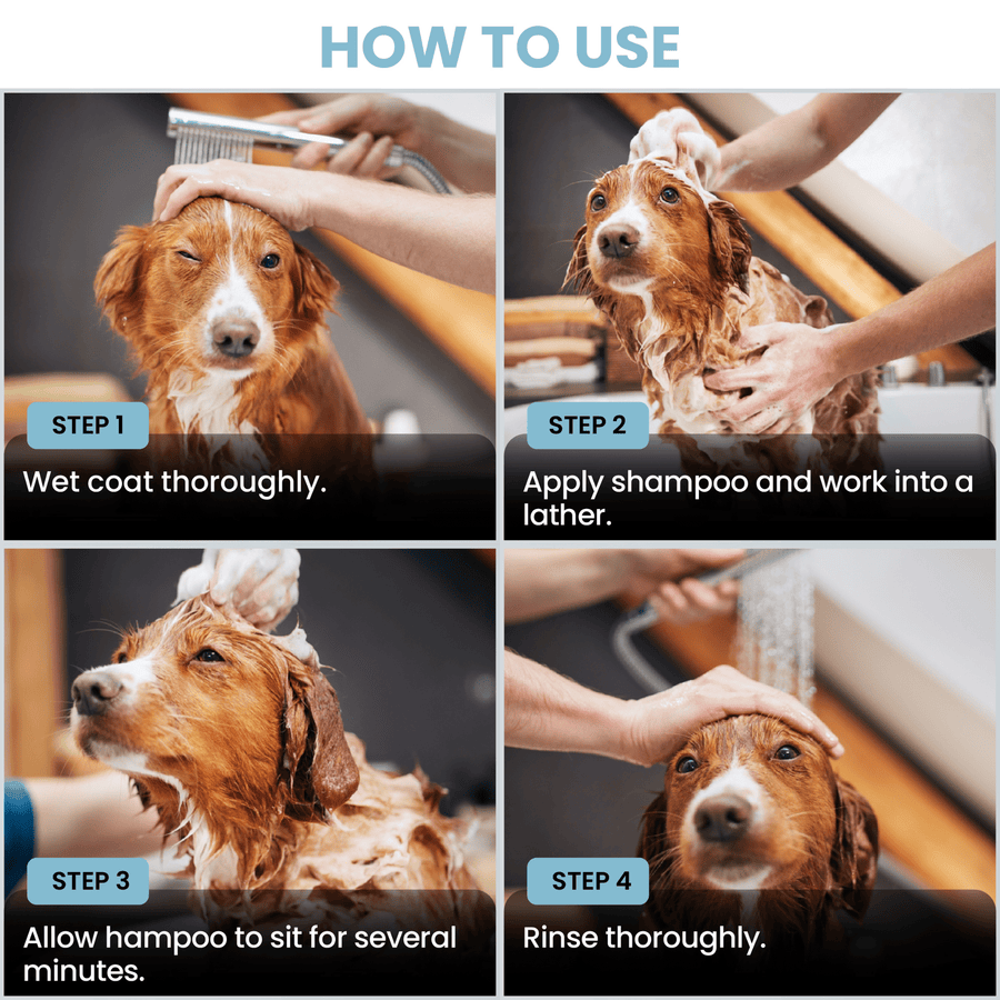 Puppy Shampoo Ocean Breeze - We Love Doodles