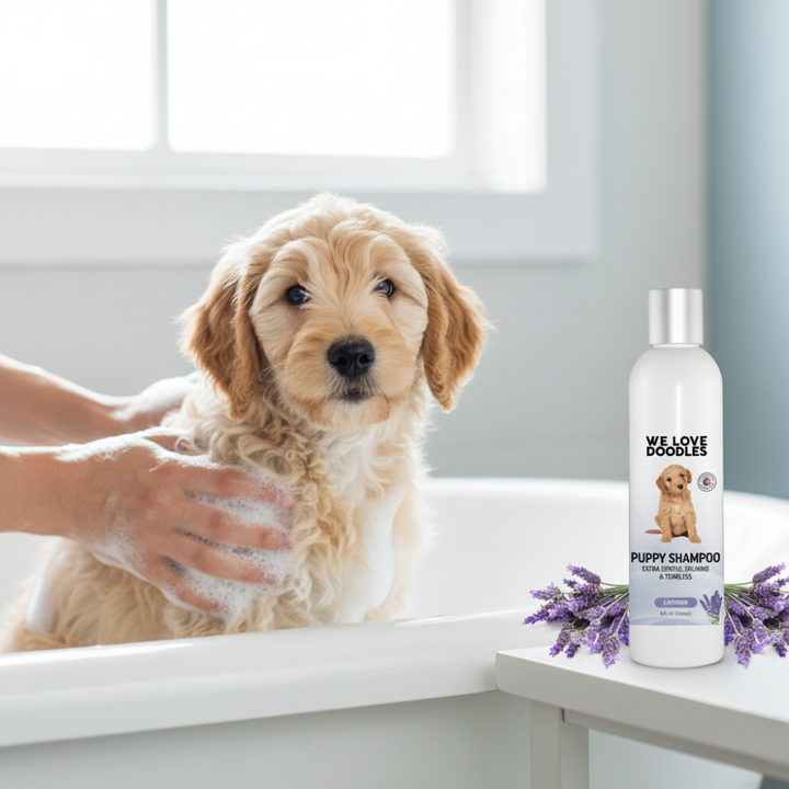 Ocean Breeze Puppy Shampoo | Tearless Gentle 4-in-1 Puppy Wash
