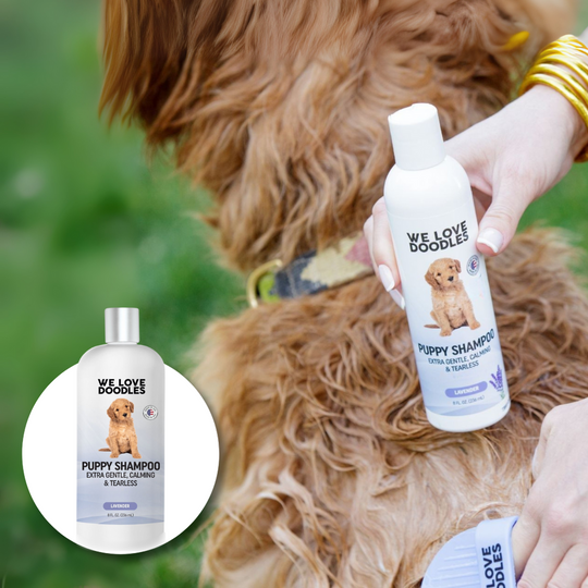 tearless puppy shampoo