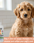 Puppy Pack – Gentle Grooming Kit