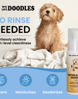 Waterless Dog Shampoo (Mango) - We Love Doodles