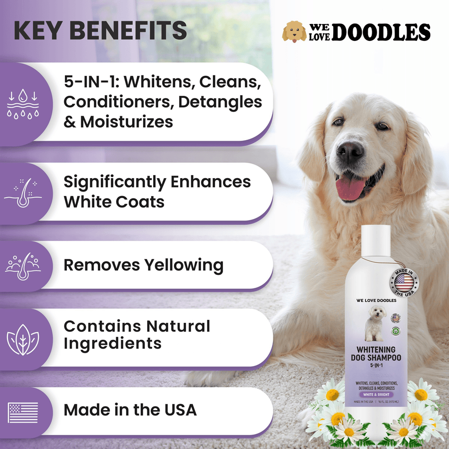Whitening Dog Shampoo - We Love Doodles