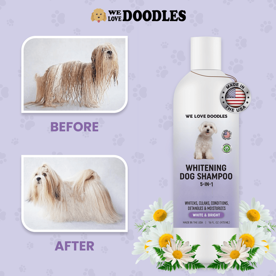 Whitening Dog Shampoo - We Love Doodles