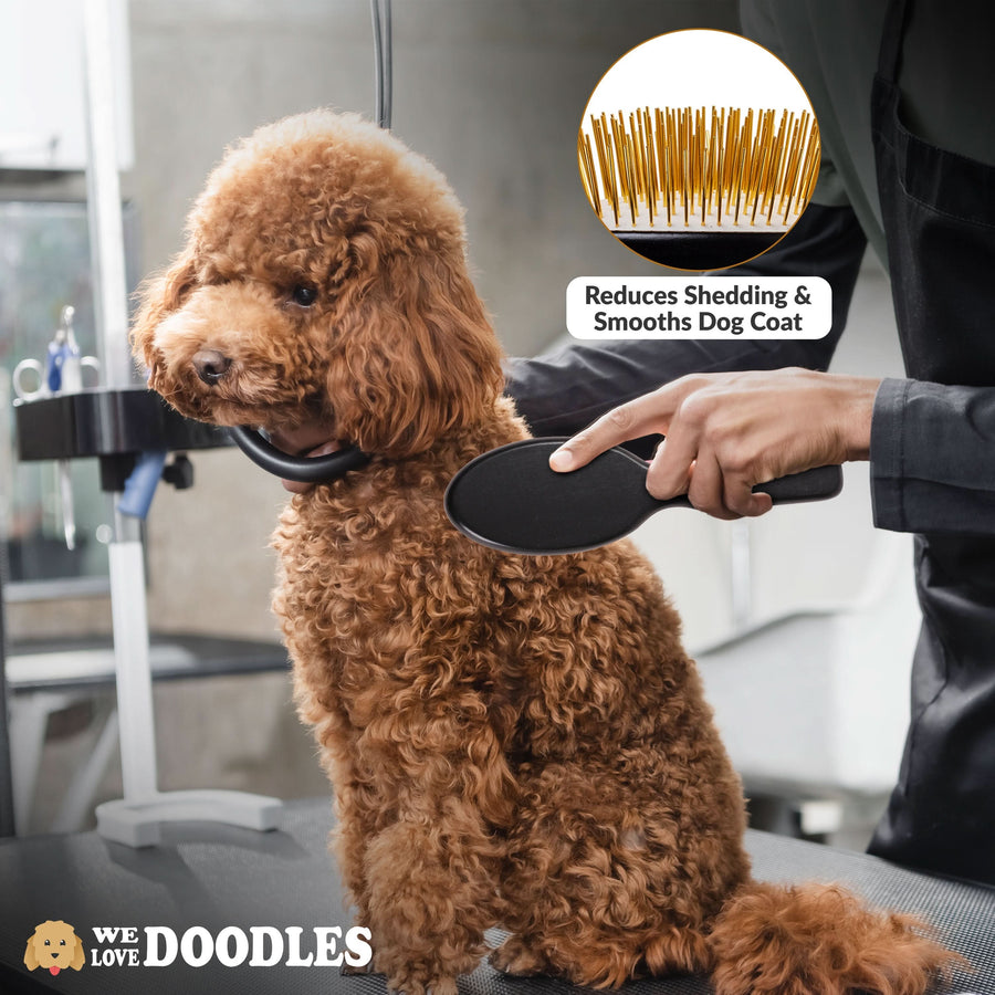 A groomer brushes a curly coated dog using the black brush. An inset shows the gold pins and text mentions reduced shedding and a smoother coat.