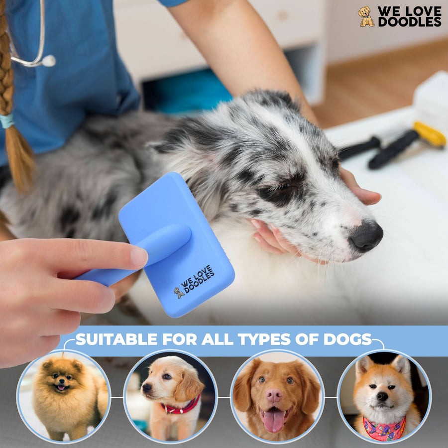 A person gently brushes a merle dog with a blue slicker brush. A banner notes that it is suitable for all types of dogs with small breed portraits below.