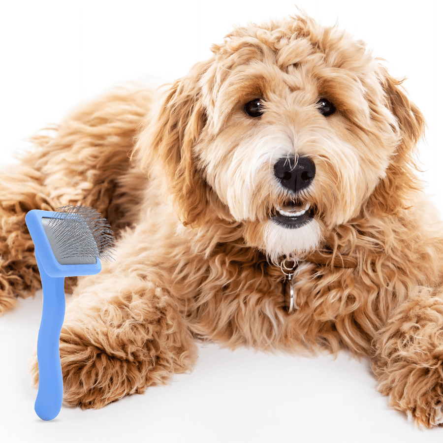 Small Slicker Brush - We Love Doodles